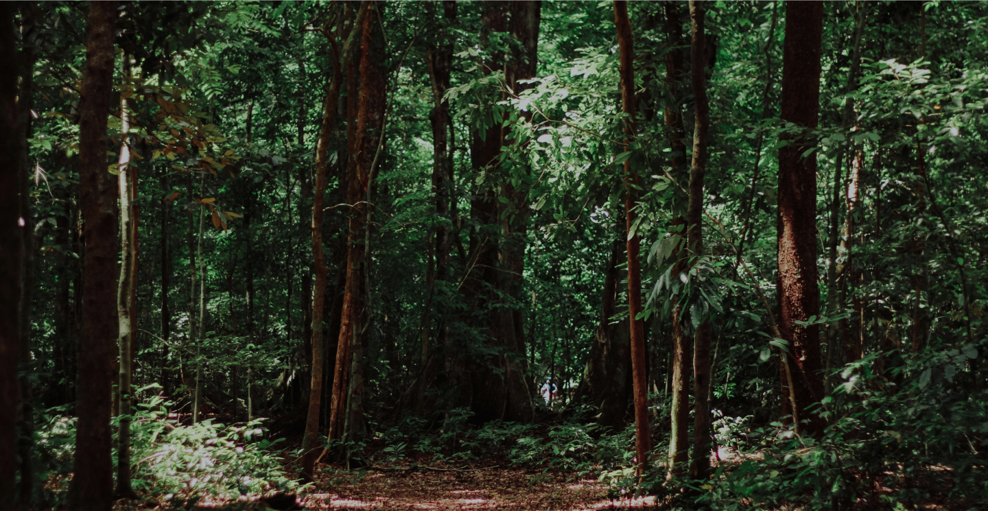 Our environmental commitment | Timberhub